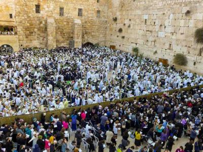 Hoshana Rabbah 2014, on Har Habayit ramp