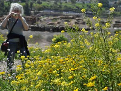 Beit Shean, March 2012